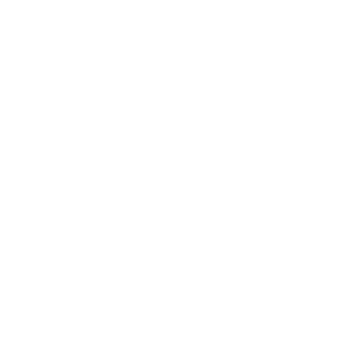 White globe icon with grid lines on a transparent background